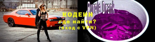 PSILOCYBIN Вяземский