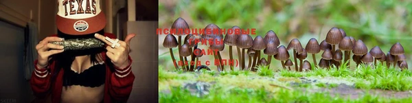 каннабис Пересвет
