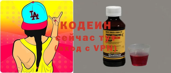 PSILOCYBIN Вяземский