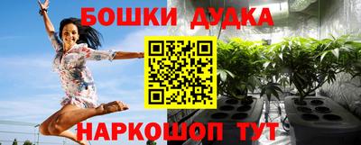 гашик Донской