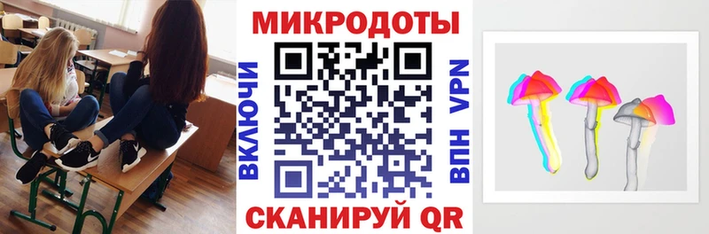 как найти   Крымск  Галлюциногенные грибы Psilocybine cubensis 